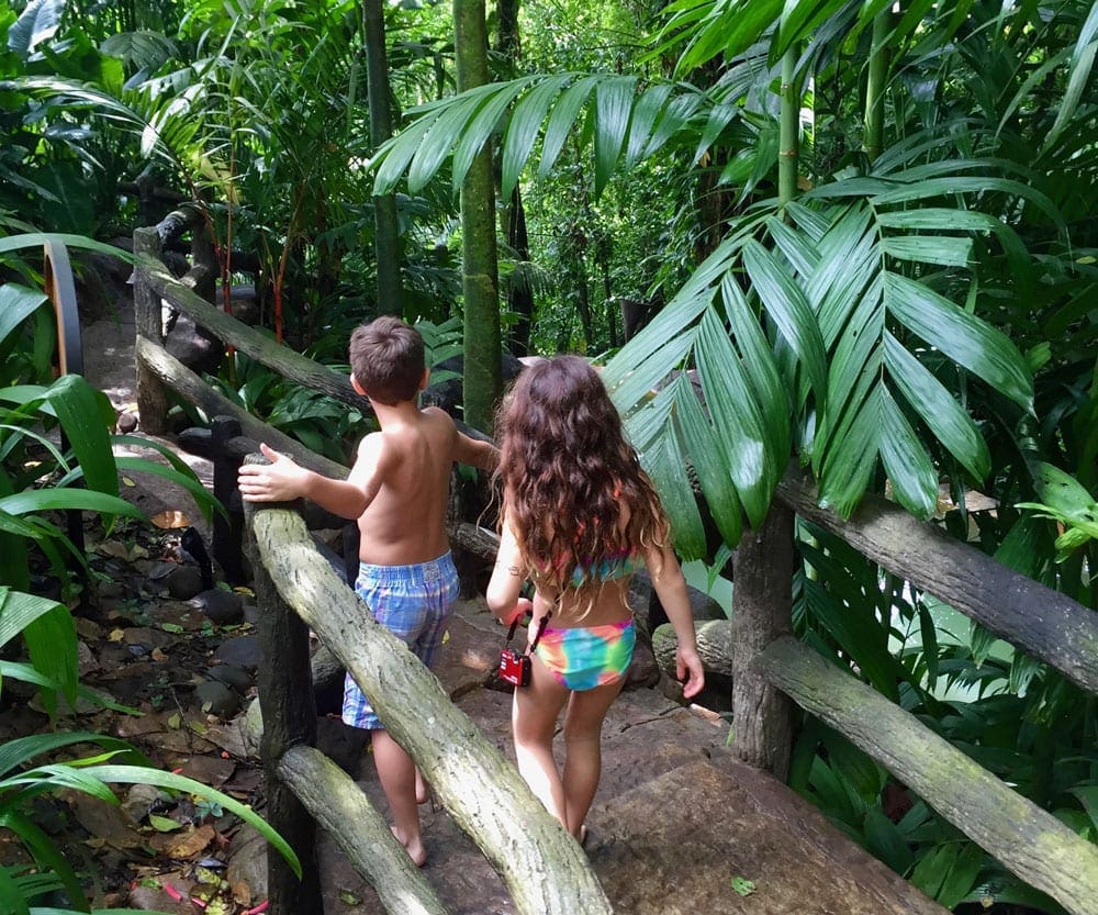 Two kids walk along a path with lush foliage surrounding the trail.