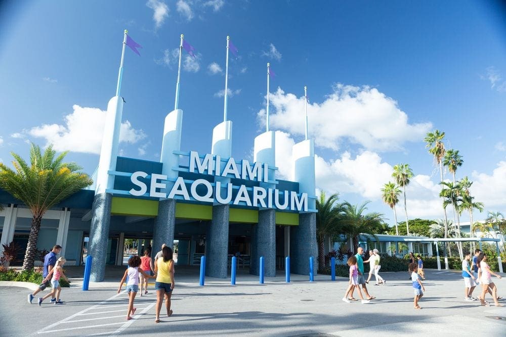 The entrance to the Miami Seaquarium, featuring blues and greens in color. Many people are walking in an out of the museum.