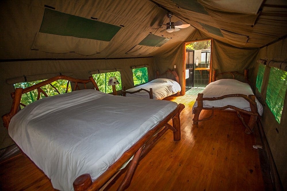 Kids beds in the upstairs of a lodge at Rafiki Safari Lodge.