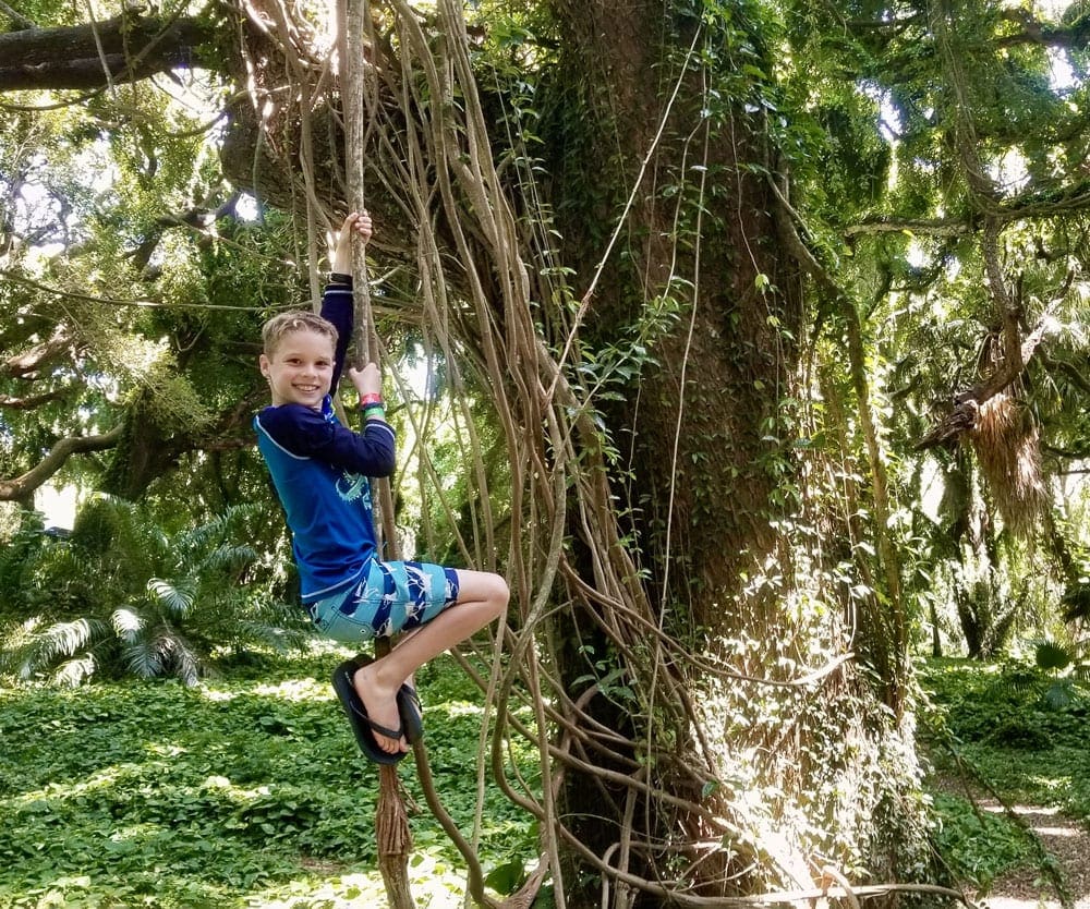 A young boy hangs on a vine while exploring the Road to Hana.