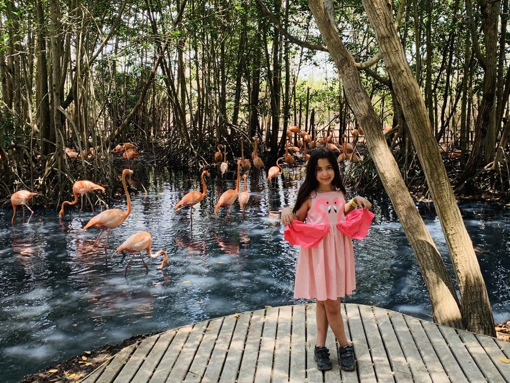 A young girl wearing a flamingo dress stands in front of a flock of flamingos at the Aviario Nacional de Colombia, one of the best things to do in Cartagena with kids.