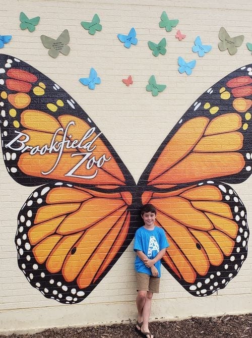 A young boy stands in front of a mural of a butterfly at the Brookfield Zoo, one of the best kids activities in Chicago.