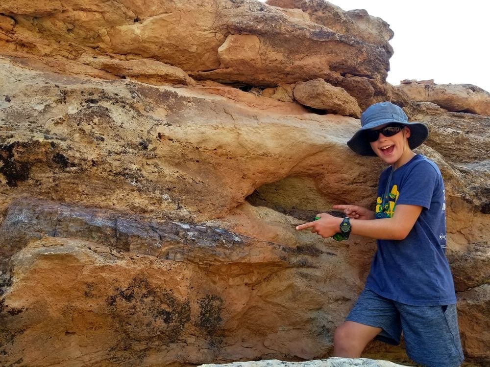 A young boy points at a dinosaur fossil embedded in rock at Paleosafari Moab Giants, one of the best things to do in Moab with kids.