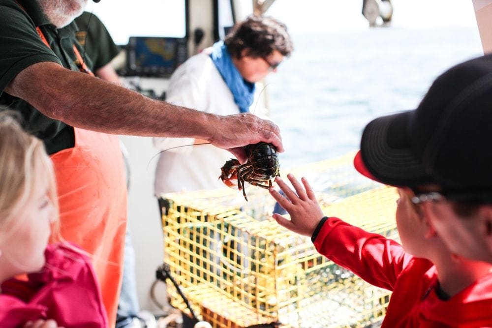 A lobsterman holds out a lobster while a young child reaches out to touch it during a lobster boat tour, one of the best places to visit on a Northeast road trip with kids. 