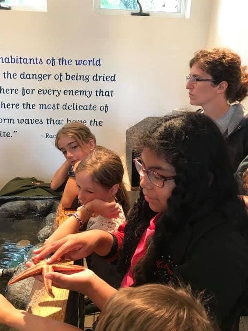 A young girl holds a starfish while visiting the George B. Dorr Museum of Natural History.