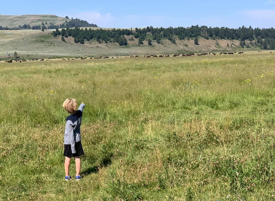 A child pointing out the bison and other wildlife in Lamar Valley, Yellowstone.