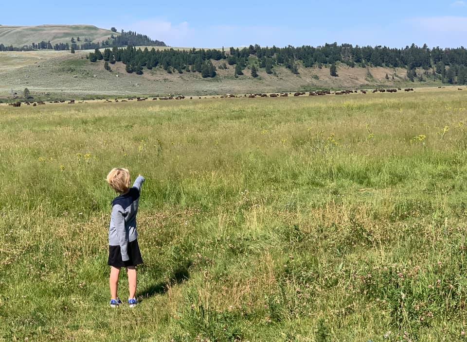 A child pointing out the bison and other wildlife in Lamar Valley, Yellowstone.