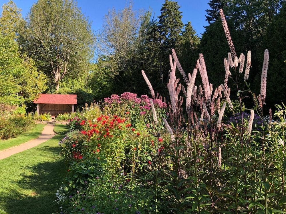 Stunning flora on a sunny day at the Thuya Garden within the Land & Garden Preserve in Bar Harbor, Maine.