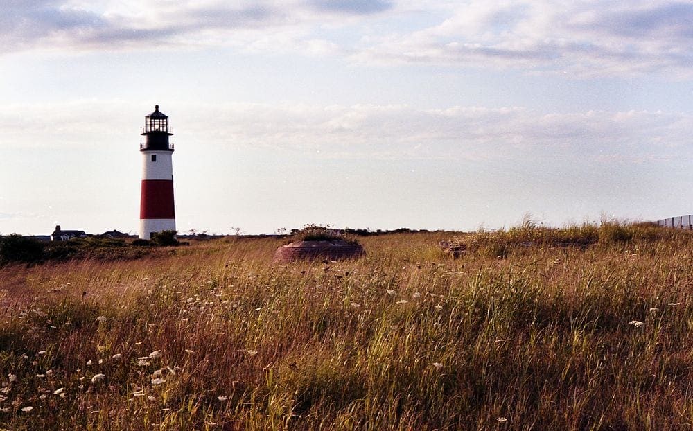 The Sankaty Head Lighthouse, featuring iconic red and white stripes, rises above dry coast grass.