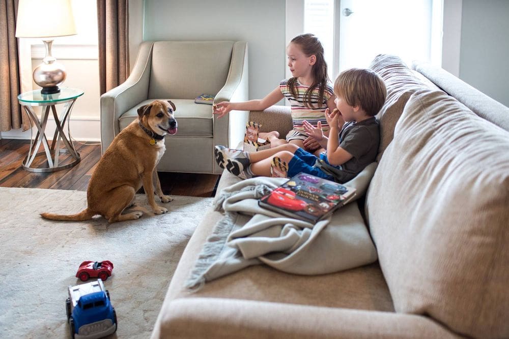 Two kids sit together on a couch at the Olde Harbour Inn, while their dog sits nearby.