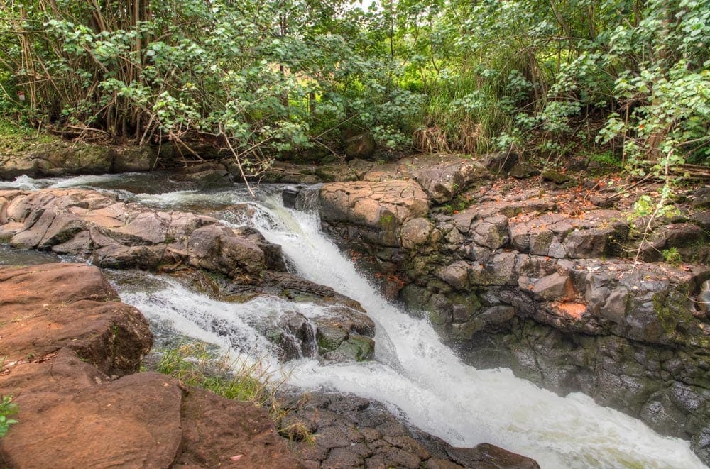 The Red Dirt Waterfall in Kauai, featuring lush surroundings and deep red-hued rocks.