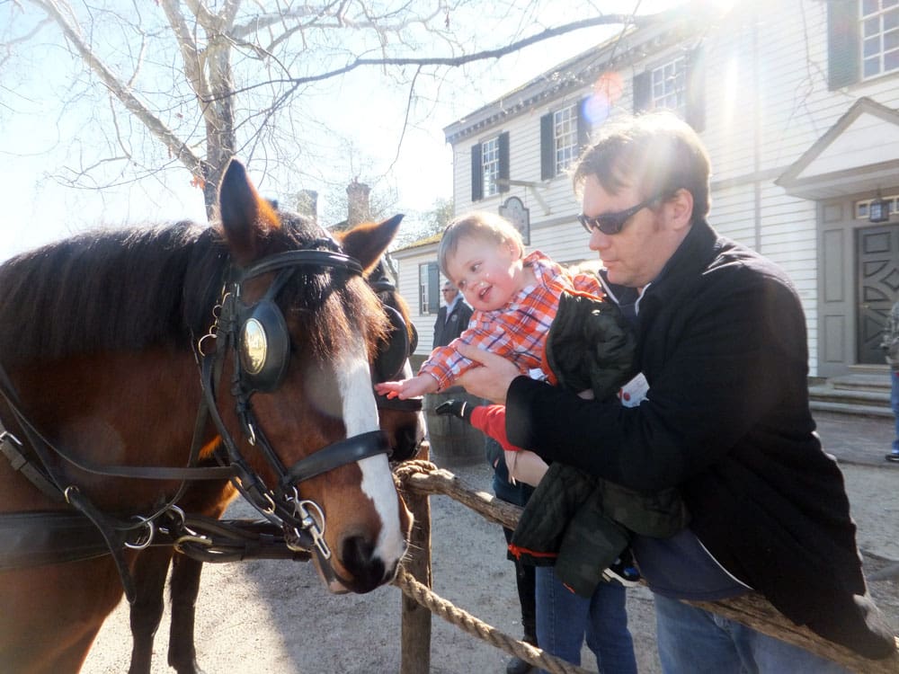A dad holds his infant son, who leans over to pet a horse while they explore Williamsburg, Virgina.