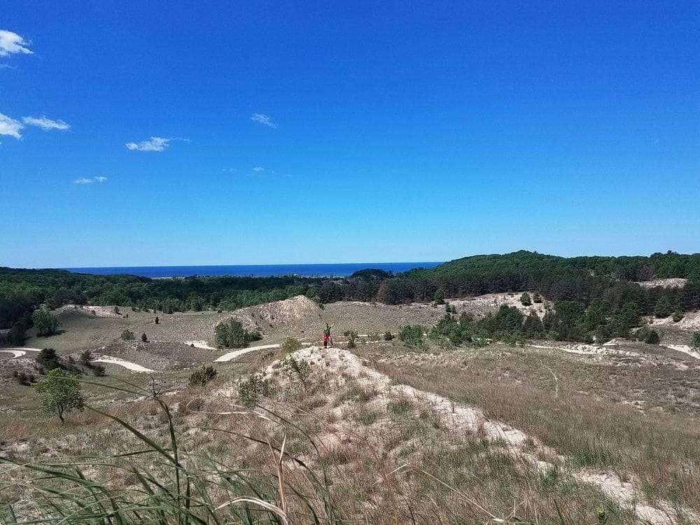 A man and child stand in the distance while enjoying a hike along the Saugatuck Dunes.