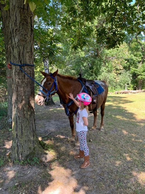 A young girl wearing a pink helmet pets a brown horse that is tethered to a tree.