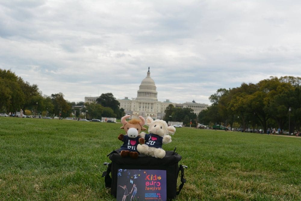 A plus highland cow and a plus sheep introduce the Kids Euro Festival from the lawn in front of the White House in Washington, DC.