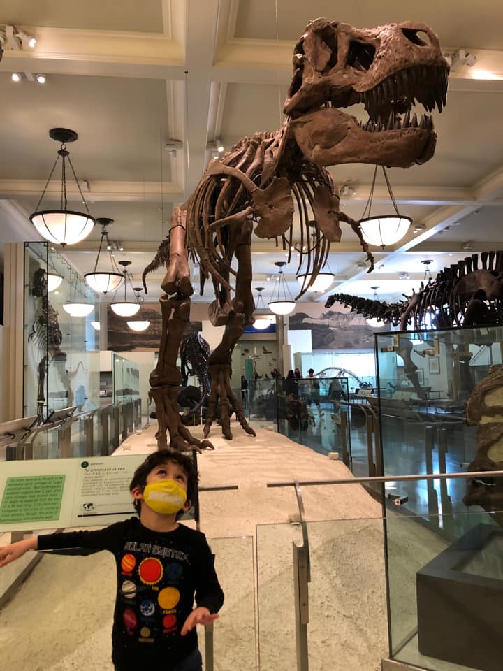 A young boy leans agains an exhibit rail with a T-Rex skeleton behind him at the American Museum of Natural History, one of the best things to do New York City with young kids.