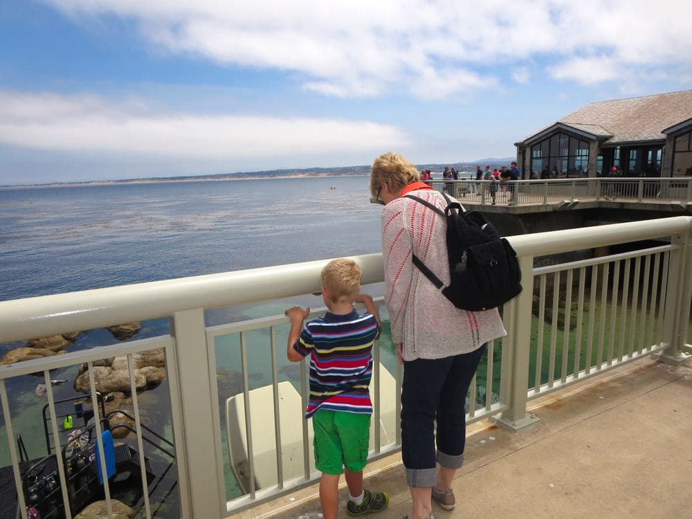 A grandma and her grandsoon peer over a fence at the water in Monterey.