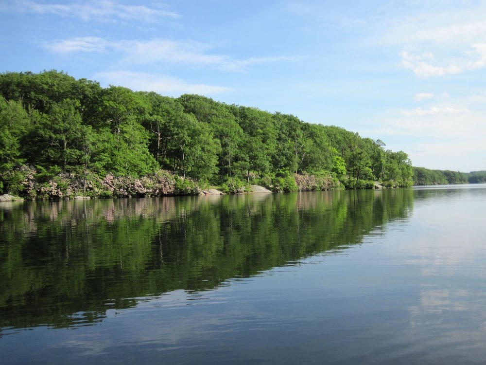 Beautiful Lake Tiorati with a lush green shoreline on a sunny day.