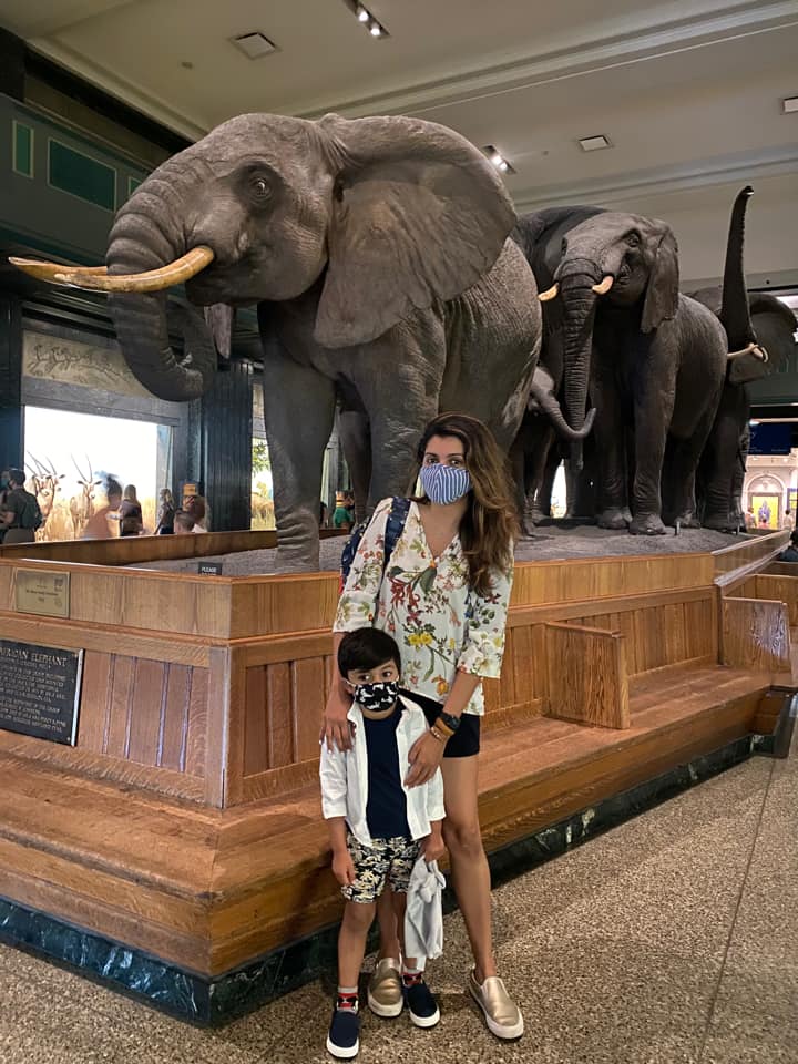 A mom and her son stand in front of an elephant on display at the American Museum of Natural History, one of the best indoor activities in New York City for kids.