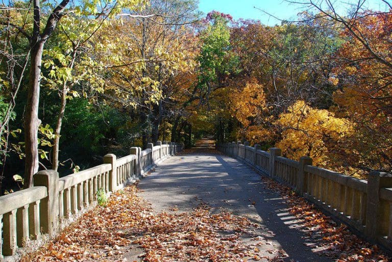 14 Best Places to See Fall Colors in the Midwest for Families!