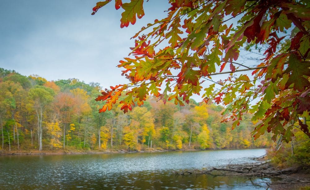 A gorgeous view of the fall foliage across a river in Brown County, Indiana.