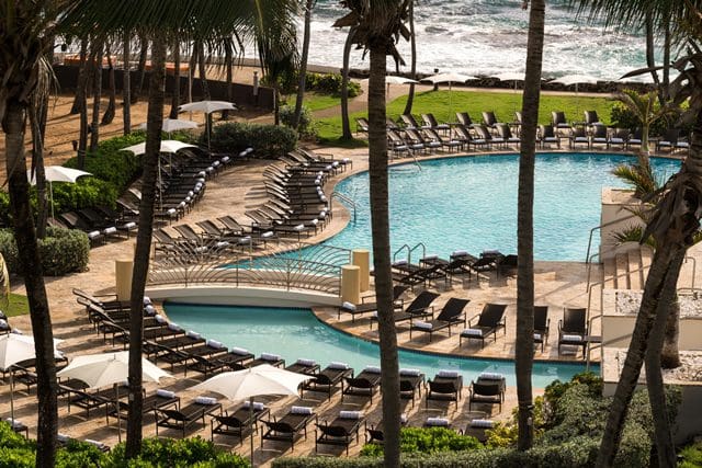 A view of the outdoor pool through the swaying palm trees, with the ocean in the distance at the Caribe Hilton.