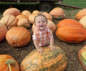 A toddler boy gives a huge cheesy grin while standing near a pumpkin in a patch at Homestead Farm.