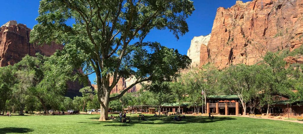 Zion Lodge in Zion National Park, one of the best places to visit on a Grand Canyon itinerary for families. 