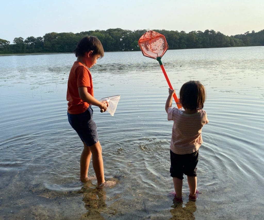 Two boys playing in the water in Cape Cod with small minnow nets.