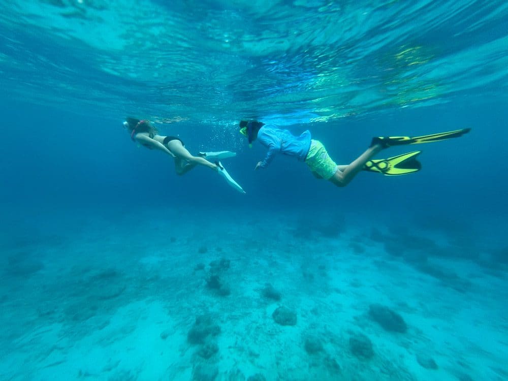 Two snorkelers under the water explore Curacao marine life.