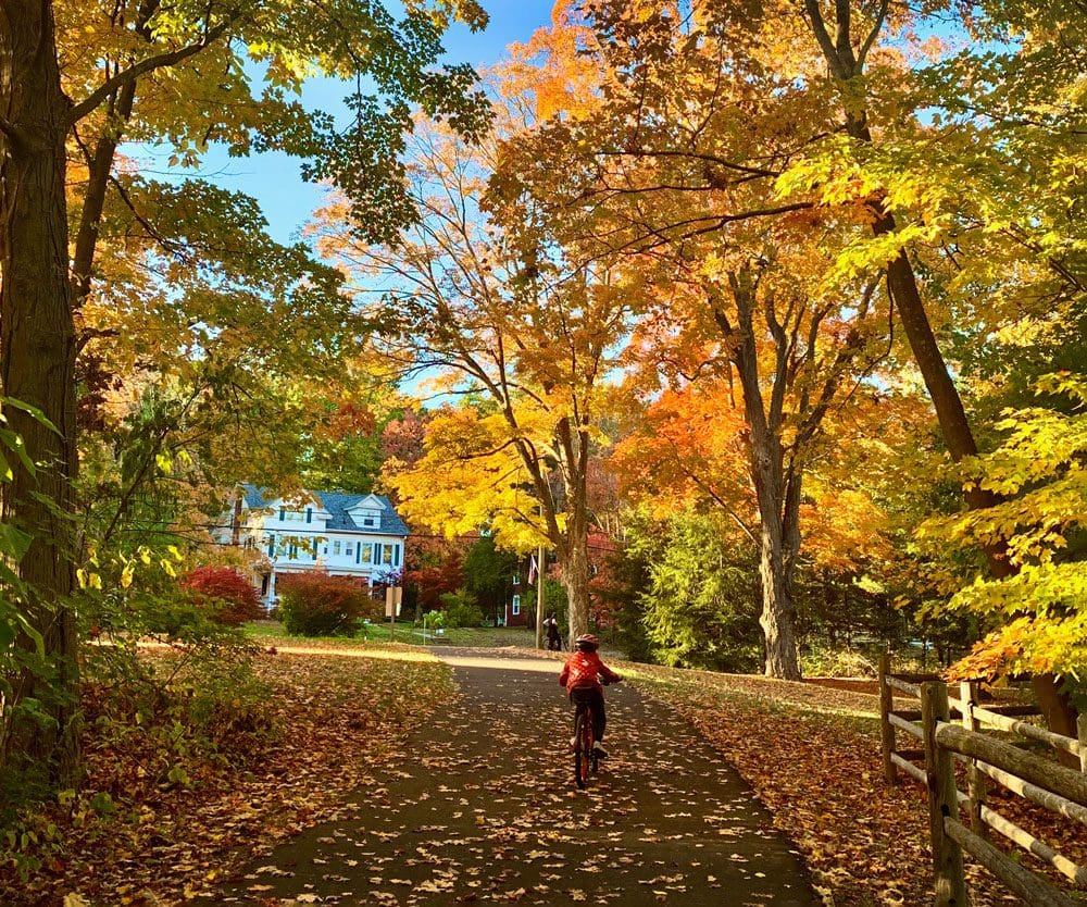 A young child bikes along a road covered with fallen autumn leaves, brilliant fall colored trees flank both sides of the road, a white house is seen in the distance.