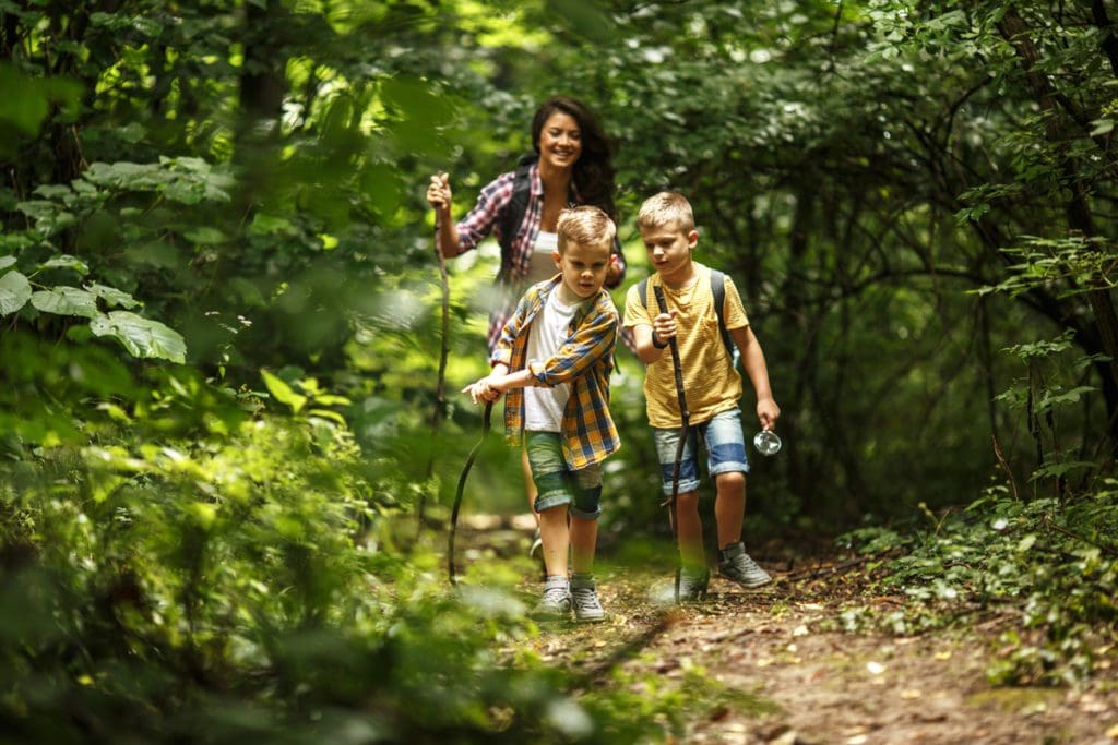 A mom and two boys hike along a shaded path amongst lush greenery.