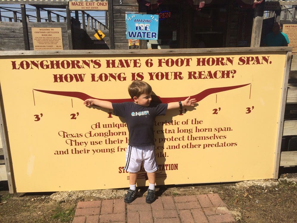 A young boy holds up his arms to see how they compare to a Texas long-horn while visiting the Forth Worth Stockyard. Forth Worth is one of the best places to visit on a Dallas itinerary for families!