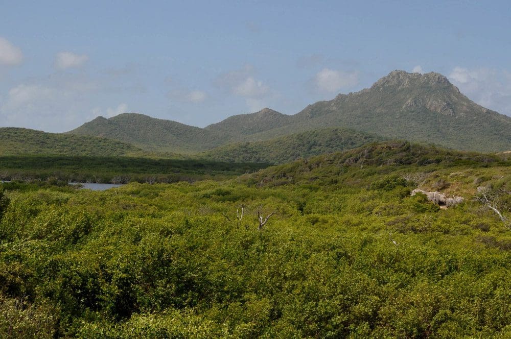A view of Mt. Christoffel in Curacao, surrounded by lush greenery.