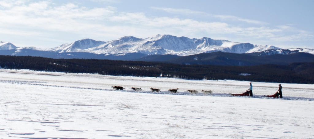 Two sleds with their corresponding dog teams race across an open field on a wintery day near Breckenridge.