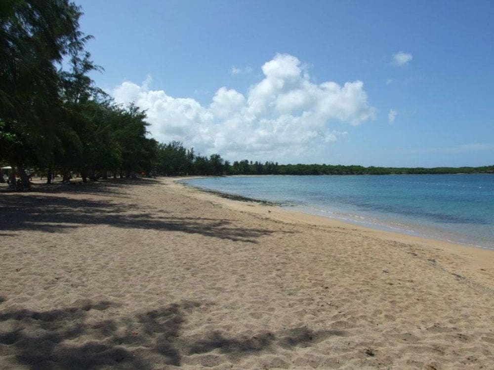 A long stretch of beach curves around the ocean waves in Puerto Rico; Seven Seas Beach.