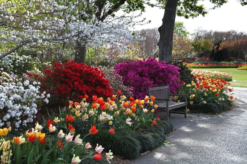 Several blooming and colorful flowers crowd a bench at the The Dallas Arboretum and Botanical Garden, one of the best places to visit on a Dallas itinerary for families!