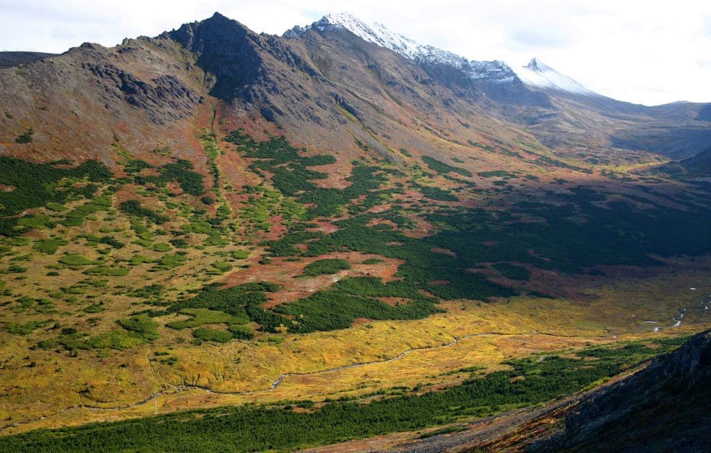 A view of a valley within Powerline Pass, featuring mountain peaks and sparse foliage, one of the best hikes near Anchorage for families.
