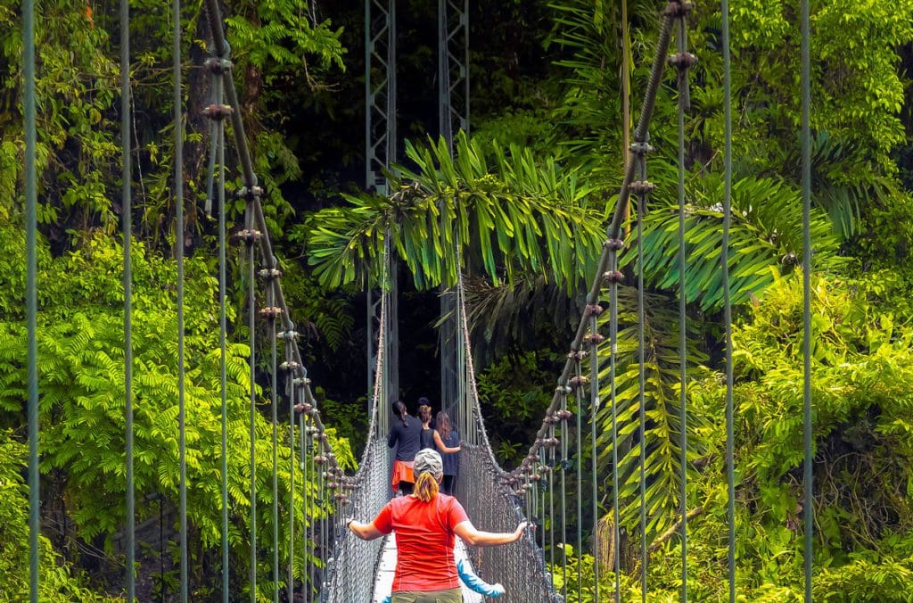 A woman wearing orange crosses the Mistico Hanging Bridges Park, surrounded in lush foliage, in Costa Rica.