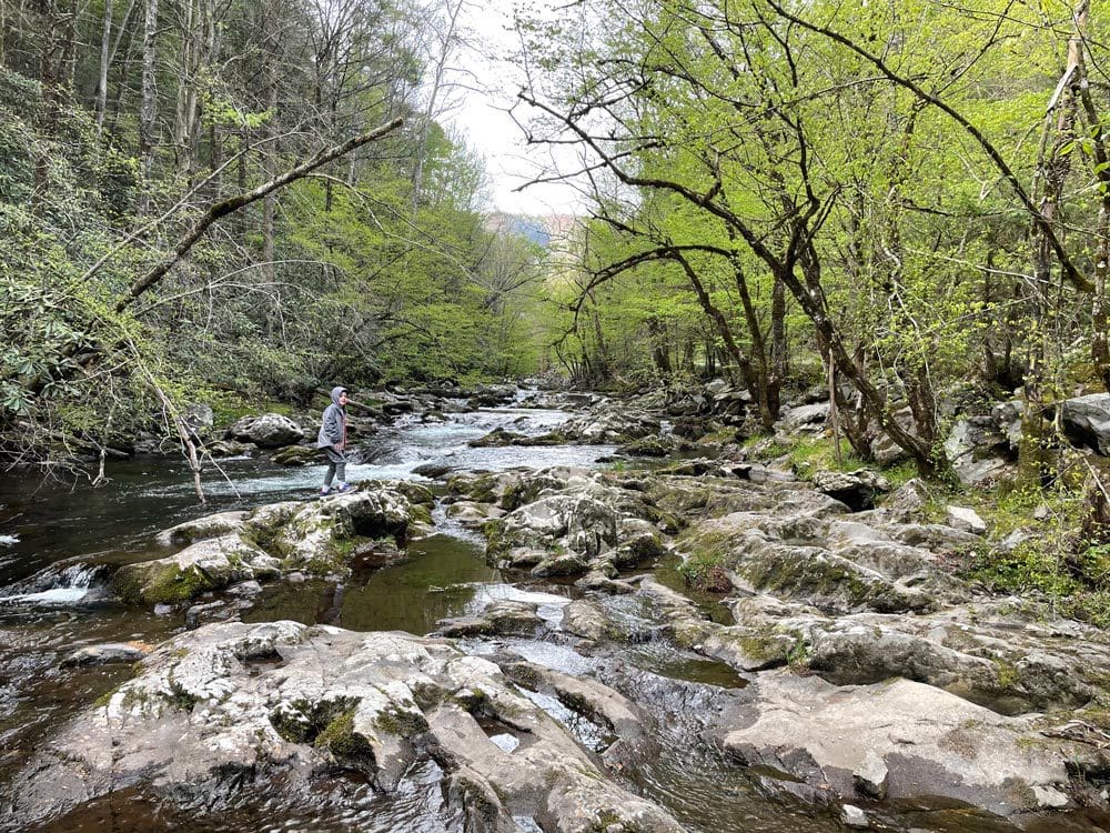 A stunning view up river at Cades Cove, near Gatlinburg. It's one of the best affordable spring break destinations for families! 