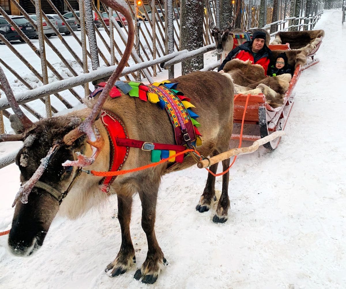 A young boy and his dad are bundled in blankets while riding a sleigh pulled by a reindeer in Lapland at Santa's Village, a must stop on our Finland winter itinerary for families.