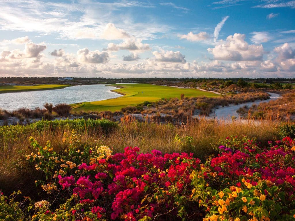 Lush grounds at the Albany, The Bahamas, featuring peaceful flowers and a scenic view.