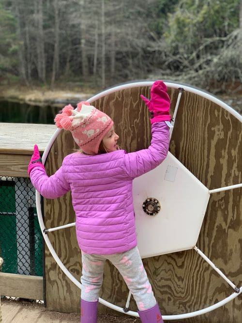 A young girl spins the manual wheel on the raft at Kitch-iti-kipi.