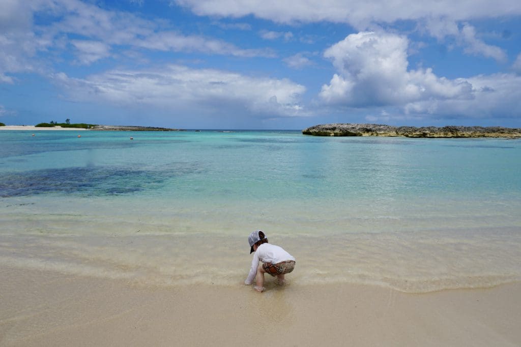 A young boy plays in the water on the beach near The Cove.