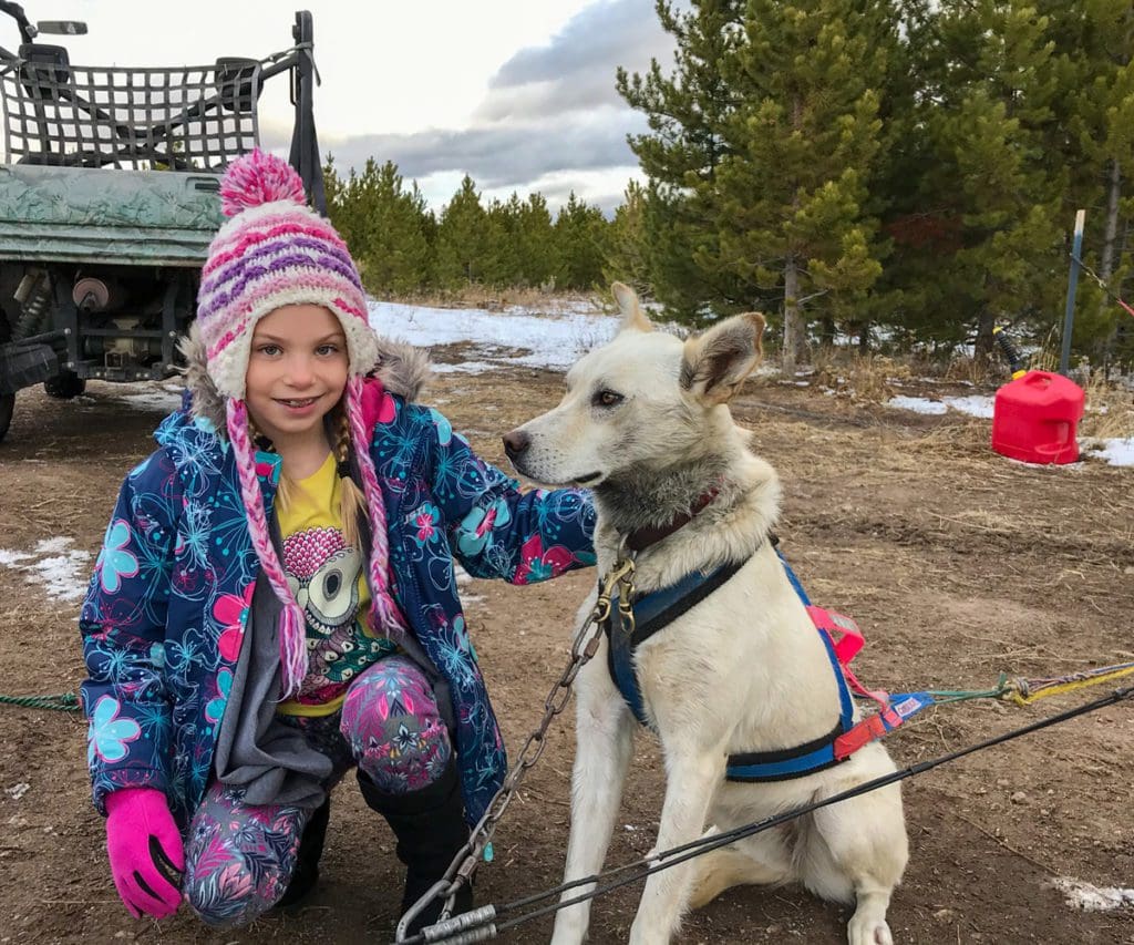 A young girl in winter gear kneels next to a white sled dog at YMCA of the Rockies - Snow Mountain Ranch, one of the best weekend getaways near Denver for families.