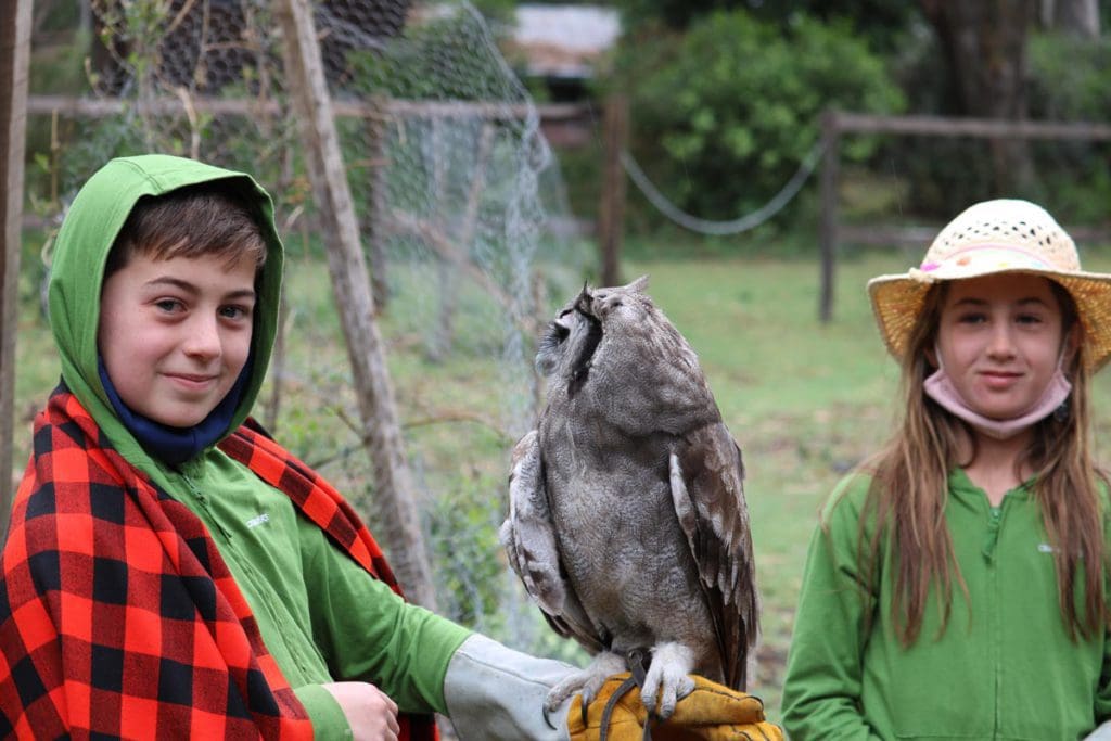 Two kids stand together, one holds an owl on an outstretched hand, at the Maasai Mara National Reserve, one of the stops on this Kenya Itinerary for Families.