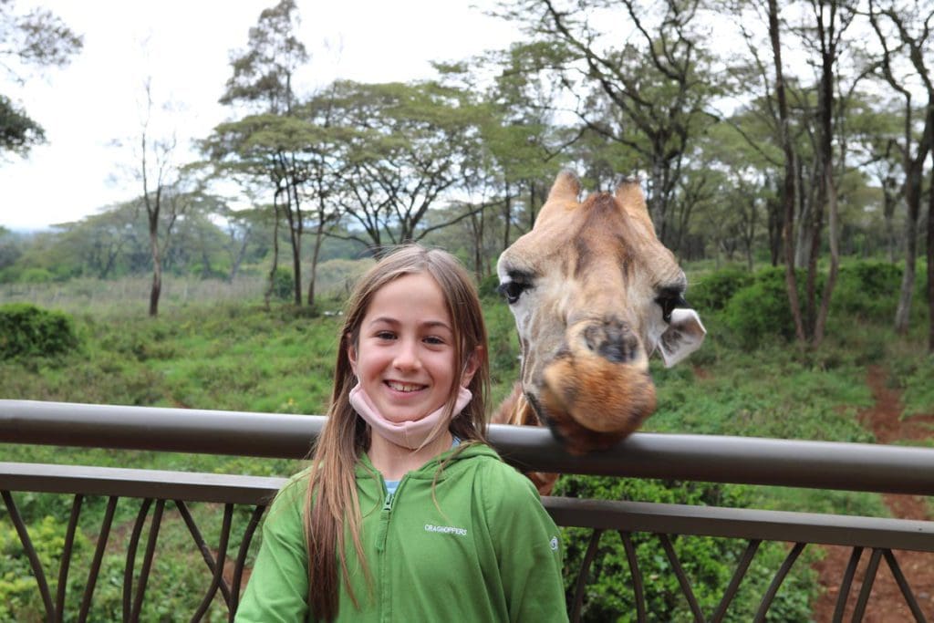 A young girl stands on a platform, while a giraffe pops its head right next to hers.