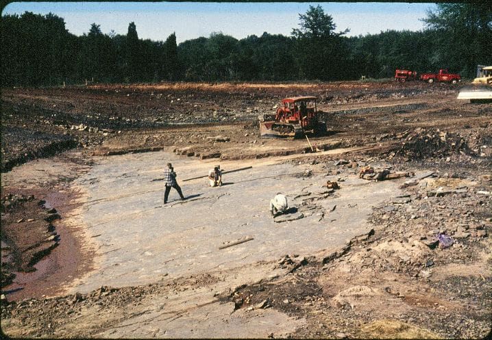 Several team members look for fossils at Dinosaur State Park.