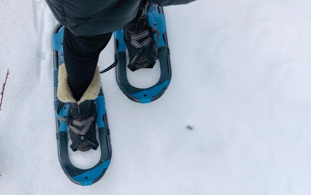 A view of snowshoes from overhead, with a snowy ground beneath.