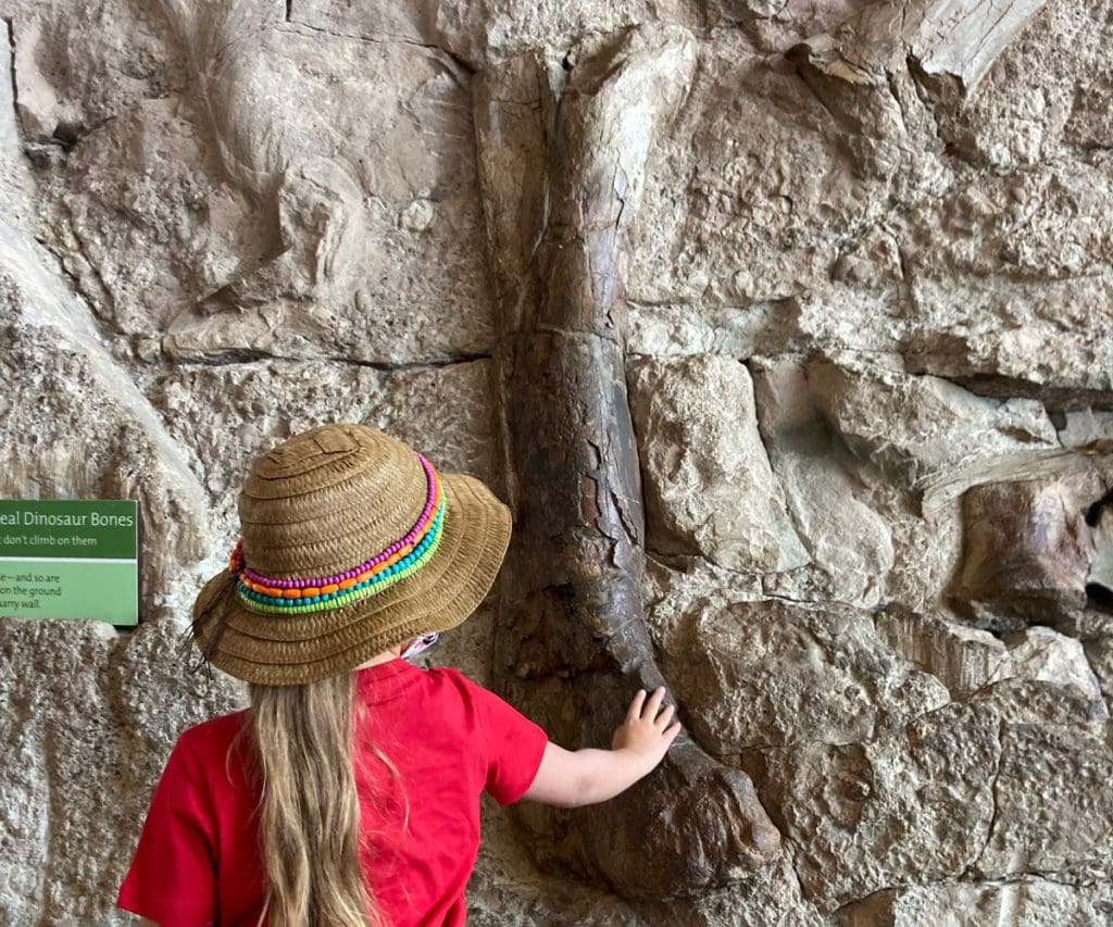 A young girl reaches out to touch a large dinosaur fossil embedded in a rock at the Dinosaur National Monument in Utah, one of the best weekend getaways from Salt Lake City for families. 